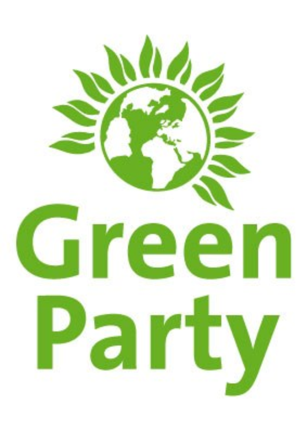 Grüne zerrissen: Gericht blockiert nicht die umstrittene Reformabstimmung