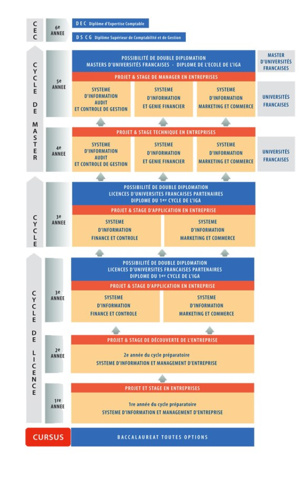 Diagram illustrating a company's organizational structure with interconnected boxes representing stages of business growth and development, accompanied by text detailing roles and responsibilities.