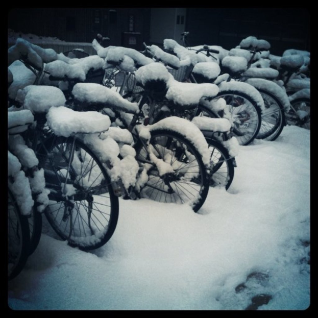 Mehrere Fahrräder stehen auf einem schneebedeckten Boden, wobei auch die Fahrräder selbst mit Schnee bedeckt sind.