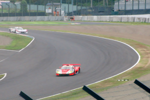 Zwei Sportwagen auf einer von Gras, Zaun, Pfählen, Bäumen und Gebäuden umgebenen Rennstrecke