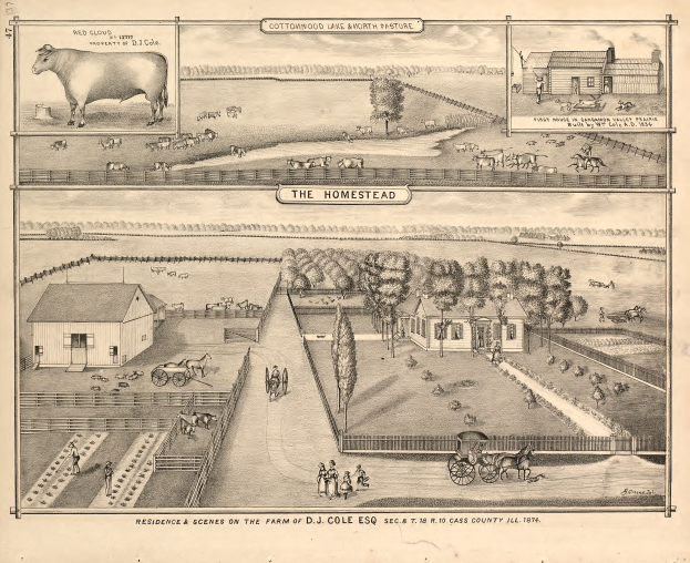 Eine Zeichnung einer Bauernhofszene mit einer Kuh in der Mitte, umgeben von Häusern, Bäumen, Pferden, Wagen und Menschen, betitelt mit "Residence and Scenes on the Farm of D.J. Cole Esq. 1874".