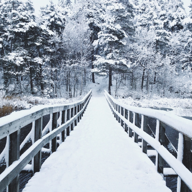 Eine schneebedeckte Brücke mit einem Hintergrund aus Bäumen, Pflanzen und Wasser.