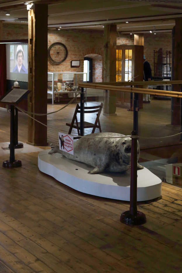 Eine Siegel-Skulptur auf einem Holzfußboden innerhalb einer Museumsumzäunung, umgeben von einer Seilabsperrung, mit Informationsanzeigen, einer Person, Möbeln und architektonischen Elementen.