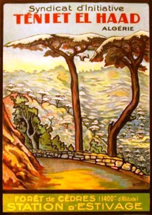 Poster advertising a train station in the French Alps with trees, hills, and a wall in the background, featuring text "Syndicat d'initiative Teniet El Haad Algérie".