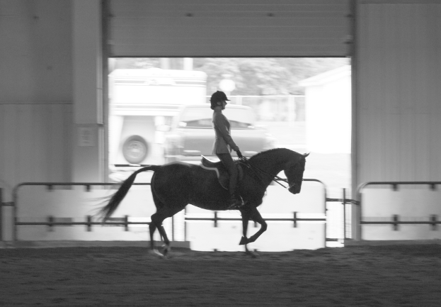 Eine Frau reitet auf einem Pferd vor einem Auto und einer Barriere, mit Bäumen im Hintergrund.