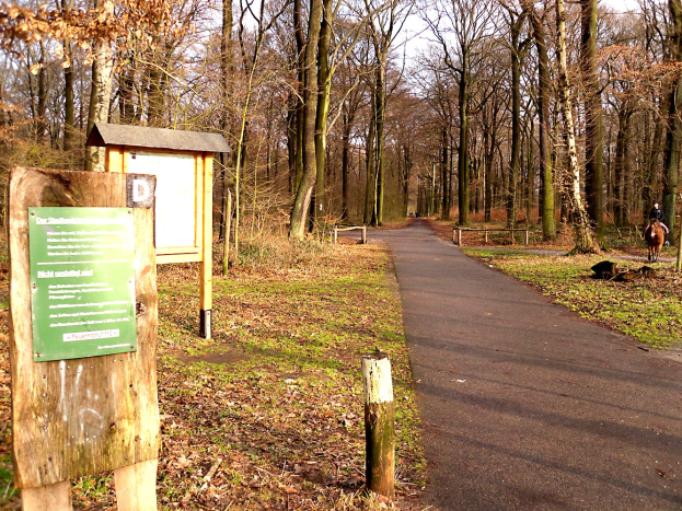 Eine Person reitet ein Pferd einen holprigen Pfad entlang, mit einem hölzernen Schild auf der linken Seite und einem klaren blauen Himmel im Hintergrund.