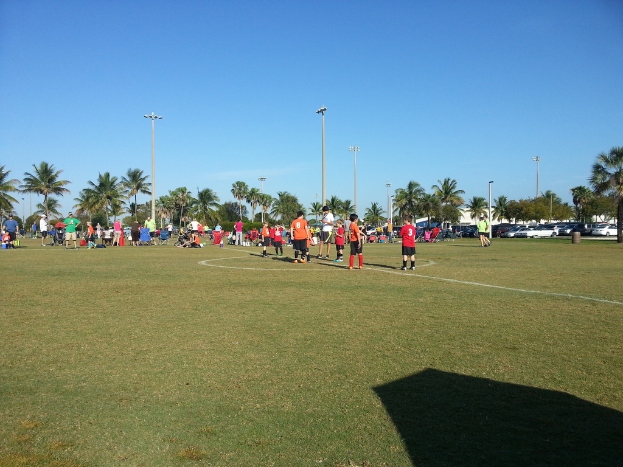 Eine Gruppe von Menschen versammelt sich auf einem grasbewachsenen Spielplatz mit Bäumen, Pfählen und Autos im Hintergrund.