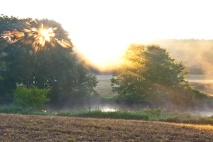 Eine Landschaft mit trockener Graslandschaft im Vordergrund, Wasser in der Mitte, Bäumen, einem blauen Himmel und einer Sonne im Hintergrund.