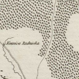 Gouverneur Dmitry Demeshin gratuliert den Einwohnern der Region Chabarowsk zum Tag Russlands