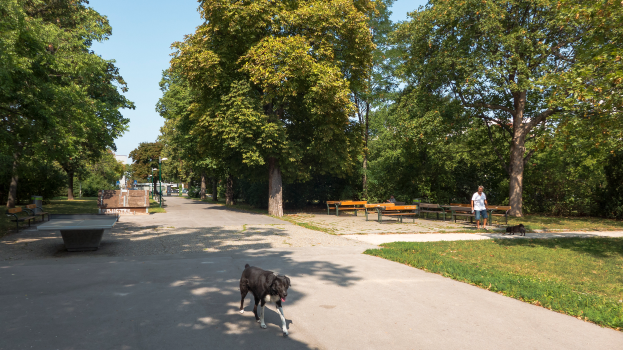 Ein Hund läuft einen Weg in einem Park entlang, mit Gras auf beiden Seiten, Bäumen, Bänken, Menschen, Pfählen und einem klaren blauen Himmel im Hintergrund und einem Tischtennis-Tisch links.