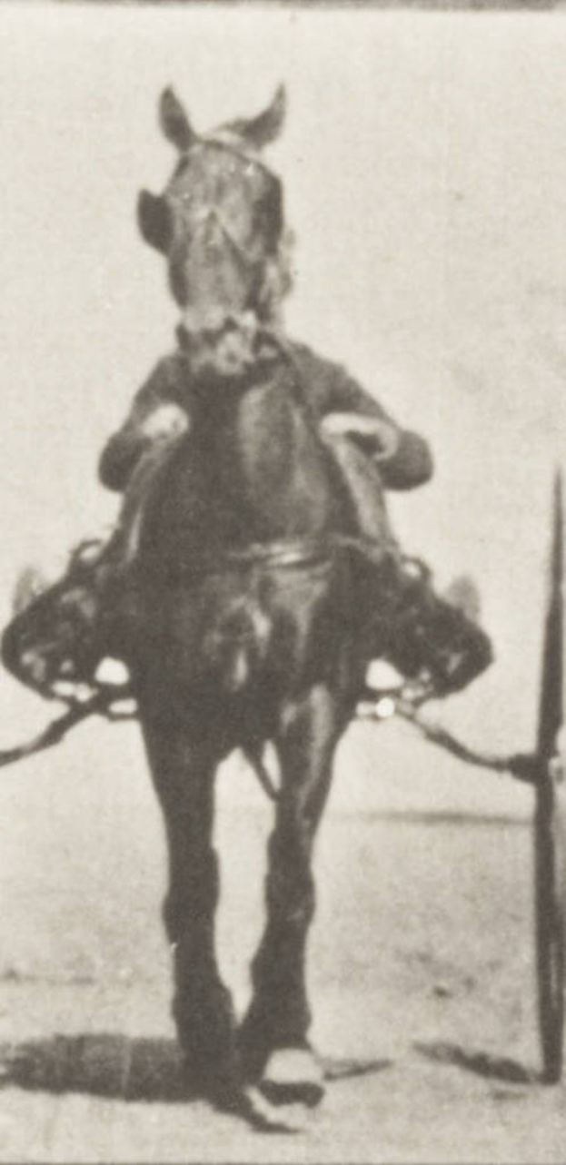 Eine Person, die in einer Kutsche auf einer Straße fährt.