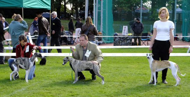 Drei Personen auf Gras mit Hunden an weißen Leinen, mit Zelten, Schildern, einem Zaun, einem Netz, einer Tafel und Bäumen im Hintergrund.