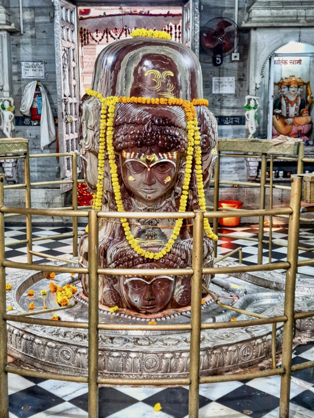 A stone statue of Lord Shiva in a Hindu temple, decorated with garlands and enclosed by a railing, with additional statues and objects visible in the background.