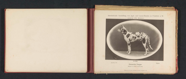 Ein aufgeschlagenes Buch mit dem Titel "Internationale Ausstellung von Jagd- und Luxushunden in Frankfurt a.M." und einem Schwarz-Weiß-Foto eines Hundes.