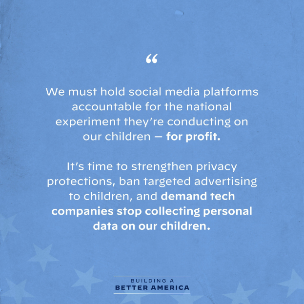 Plakat mit einem Zitat aus "Building a Better America", das die Auswirkungen von Social-Media-Plattformen auf Kinder kritisiert, mit Sternen verziert.