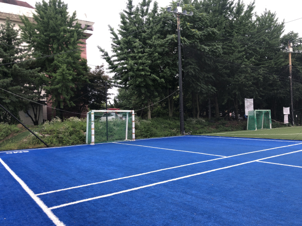 Ein blauer Tennisplatz mit einem Tor in der Mitte, umgeben von grünem Gras, Pflanzen und Bäumen, mit einem Gebäude und einem klaren blauen Himmel im Hintergrund.