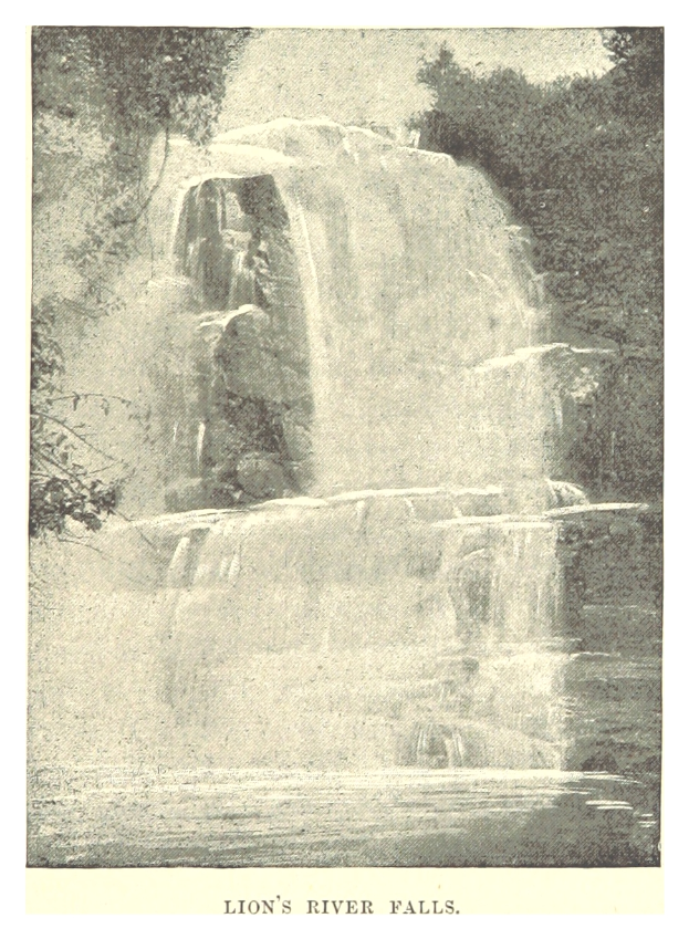 Ein majestätischer Wasserfall ergäßt sich über eine steile Felswand und ist von grünen Bäumen umgeben. Unten steht der Text "Löwensfluss"