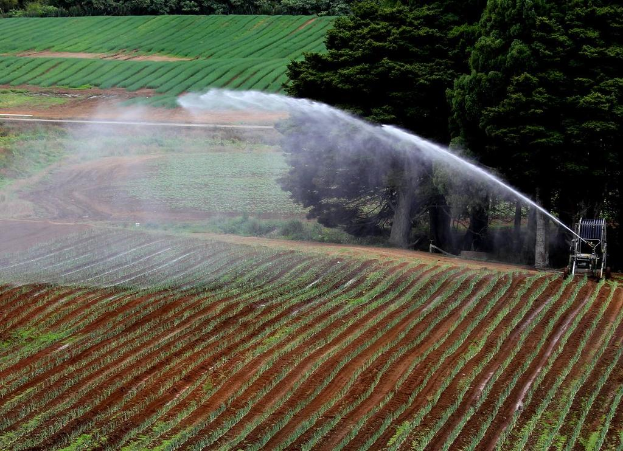 Landwirtschaftliches Feld mit verschiedenen Kulturen, eine Bewässerungsmaschine im Vordergrund und eine Baumreihe mit mehr Kulturen im Hintergrund.