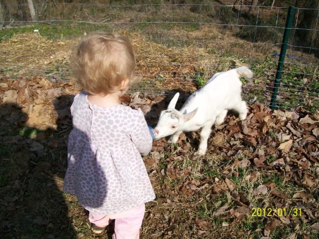 Ein Kind steht in der NÃ¤he eines Zauns mit einem Tier, umgeben von trockenen BlÃ¤ttern auf dem Gras, mit einem Datum in der rechten unteren Ecke.