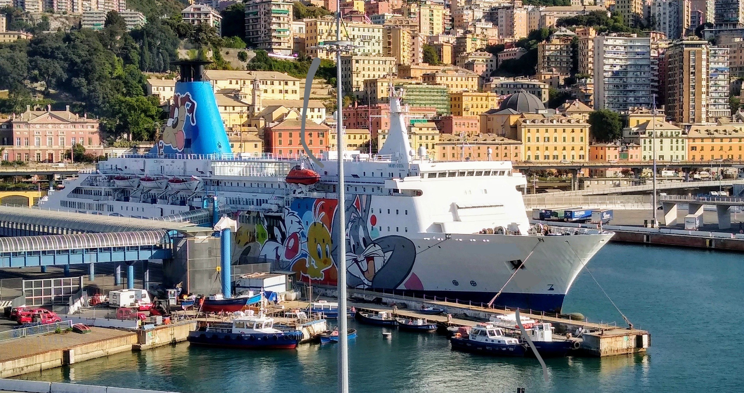 Großes Kreuzfahrtschiff liegt nahe einer Stadt mit einer Brücke links, Fahrzeugen auf der Straße und Gebäuden und Bäumen im Hintergrund.
