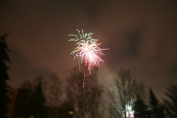Umgestürzte Bäume mit Feuerwerk und Wolken im Hintergrund des Himmels.