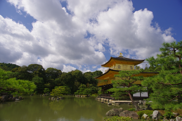 Ein friedlicher See mit Bäumen, einem Haus und einem klaren Himmel im Hintergrund.