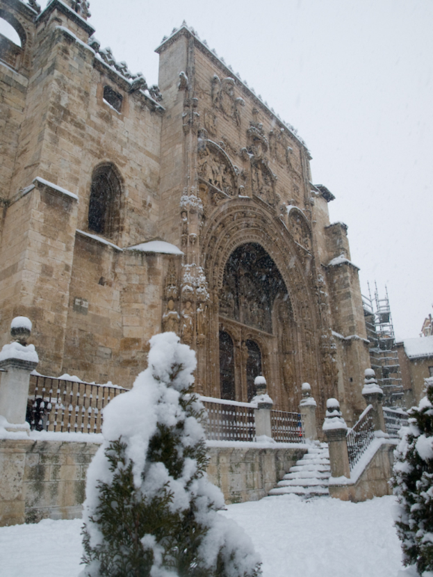 Ein Gebäude mit schneebedeckter Erde und eisbedeckten Bäumen davor.