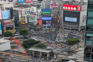 Eine belebte Stadtstraße mit starkem Verkehr, hohen Gebäuden, Fahrzeugen, Bäumen, Polen und Schildern mit Text und Bildern, mit einem Wasserzeichen unten.