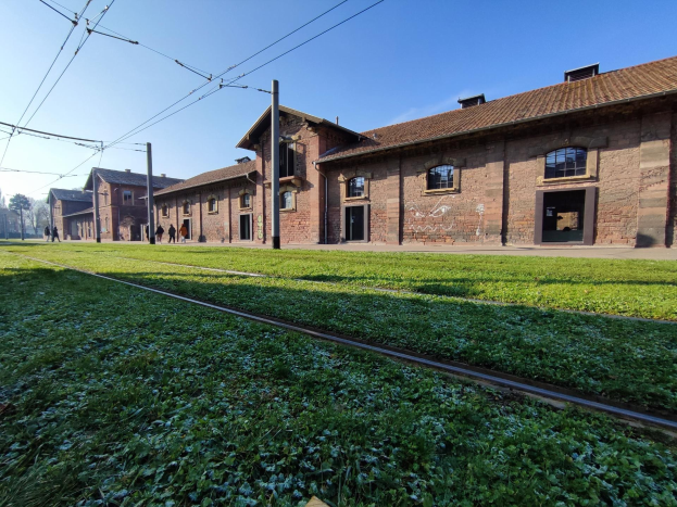 A train track runs through a grassy field beside a brick building with windows and doors, surrounded by utility poles with wires, trees, and a few people, set in the Auschwitz-Birkenau concentration camp in Poland.