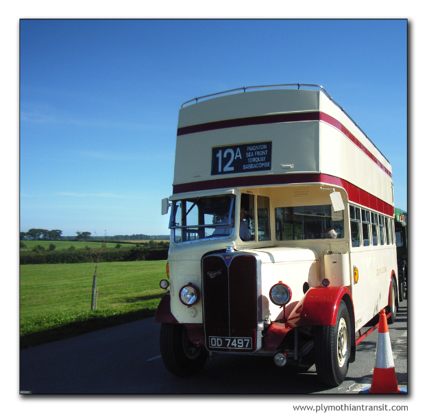 Eine Person in einem Fahrzeug auf einer Straße, mit Bäumen, Gras und Himmel links, einem Verkehrskegel und Wasserzeichen in der rechten unteren Ecke.