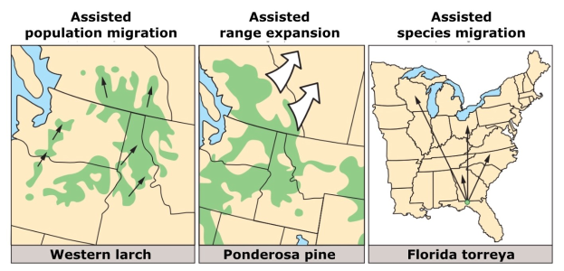 A poster featuring a U.S. map illustrating various types of assisted population migration, with accompanying explanatory text.