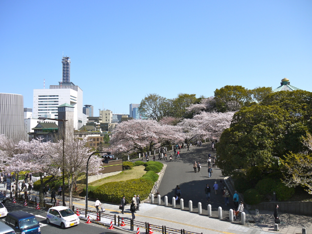 Eine Vogelperspektive auf eine Straße mit fahrenden Autos, einen Gehweg mit Fußgängern, Absperrgittern, Verkehrsampelmasten, Hecken, Bäumen, Gebäuden und einem Himmel im Hintergrund.