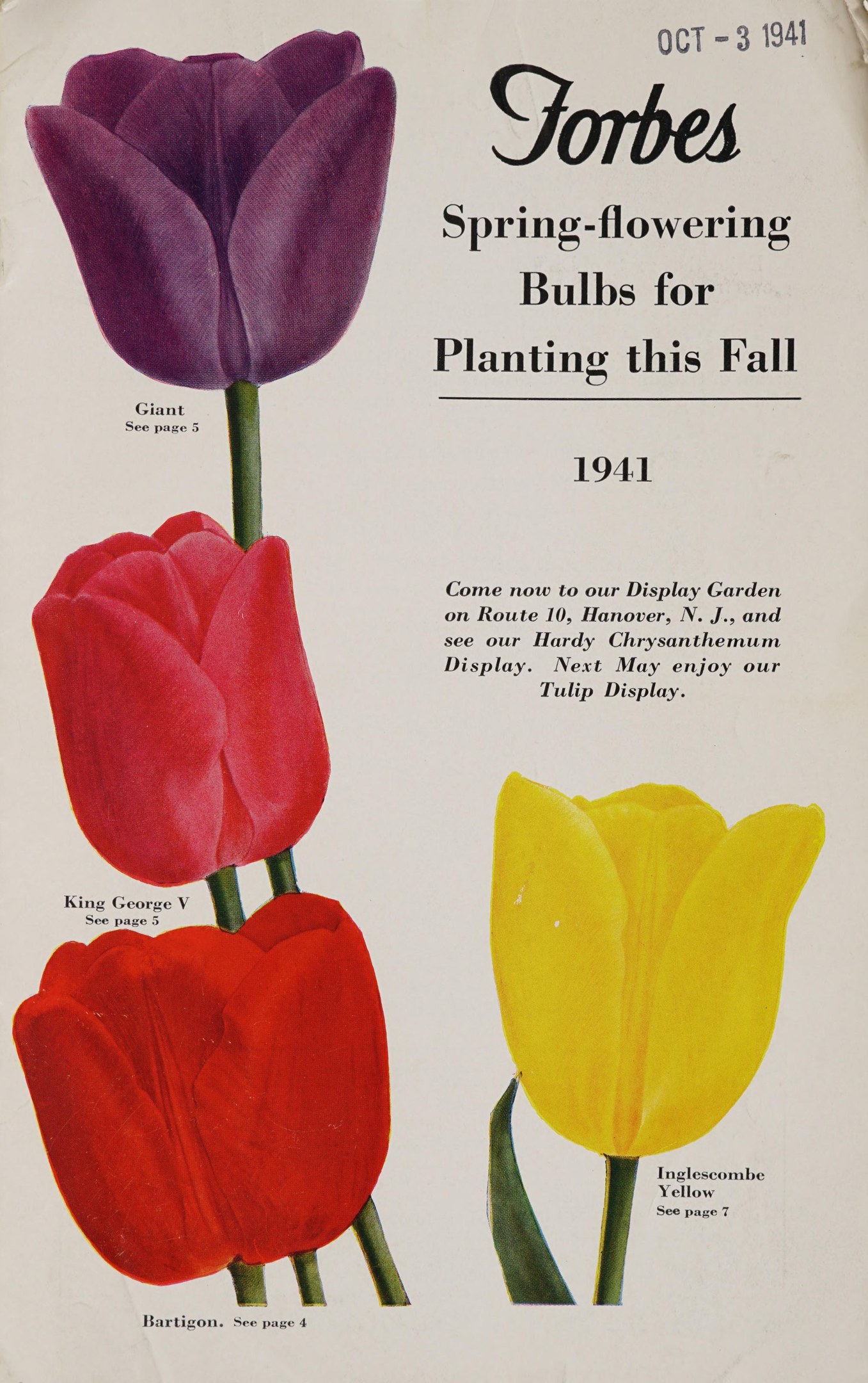 Plakat aus dem Jahr 1941 mit drei Tulpen in rot, gelb und lila, die symmetrisch gegen einen weißen Hintergrund angeordnet sind, mit der Aufschrift "Forbes Frühlingsblüher für die Pflanzung im Herbst 1941" oben.