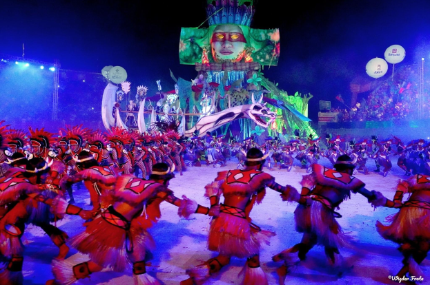 Eine Gruppe von Menschen in farbenfrohen Kostümen tanzt auf einer Bühne während des Rio-Karnevals 2014, vor einem Publikum, das von Lichtern beleuchtet wird, und einem Bildschirm im Hintergrund, der eine Person und andere Gegenstände anzeigt.