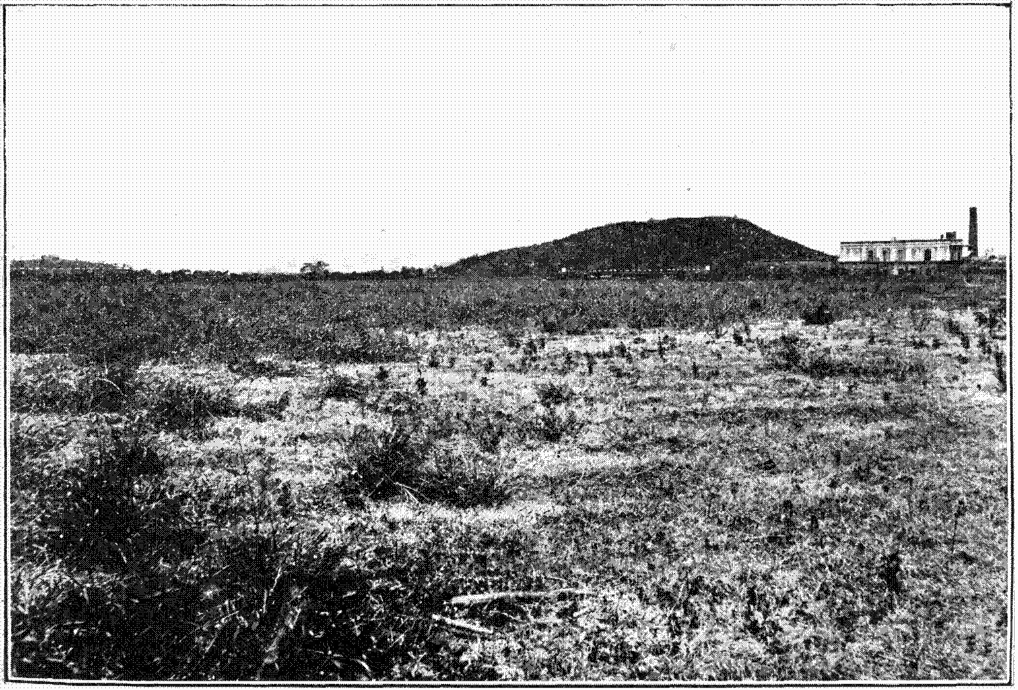 Schwarzes und weißes Foto eines Feldes mit einem Hügel im Hintergrund, einem Gebäude auf der rechten Seite und einem Himmel oben, mit Text unten, der 'New York State Penitentiary' lautet.