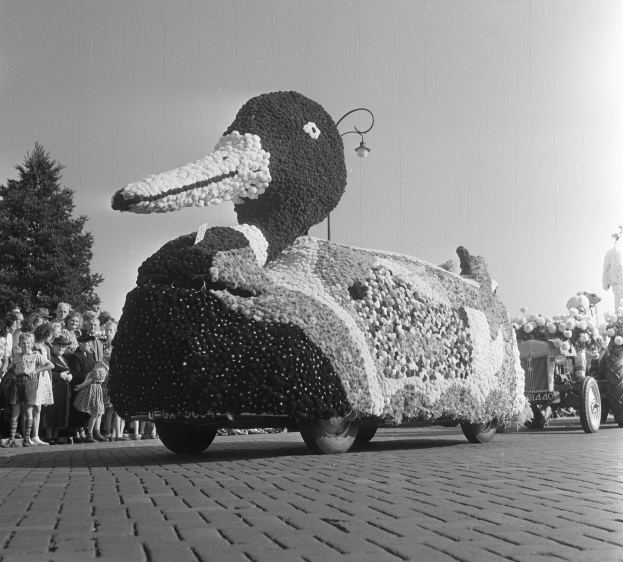 Schwarzes und weißes Foto eines Paradewagens in Form einer Ente, geschmückt mit Blumen, mit Menschen zu seiner Linken und Bäumen im Hintergrund unter einem klaren Himmel.