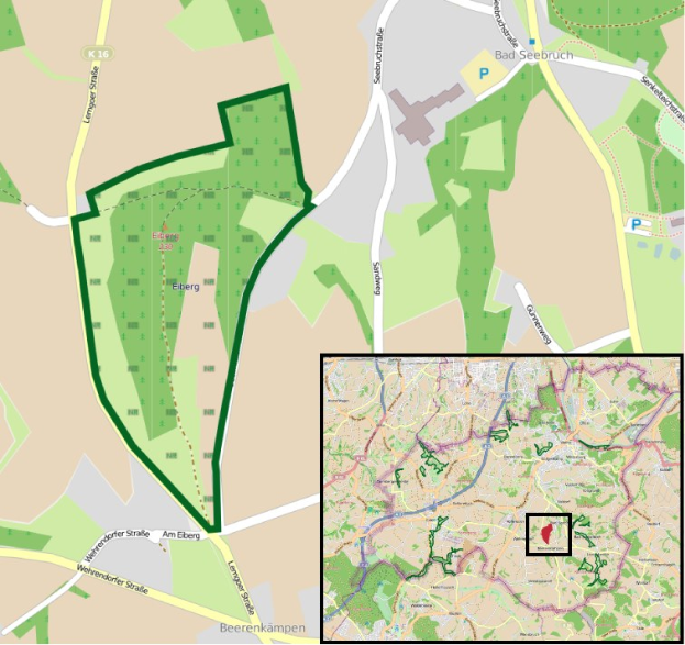 Detailierte Stadtkarte mit einem zentralen grünen Bereich, der für die geplante Entwicklung markiert ist, einschließlich Straßen, Gebäuden und Sehenswürdigkeiten.