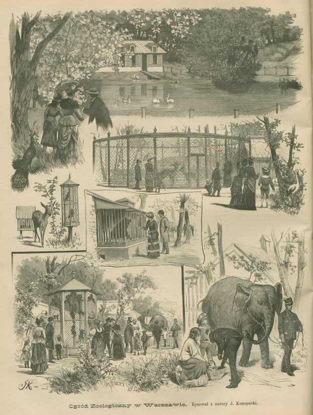 Ein altes Illustration eines Zooszenarios mit Menschen, Tieren, Bäumen, Häusern und einem Zaun, mit Text unten.